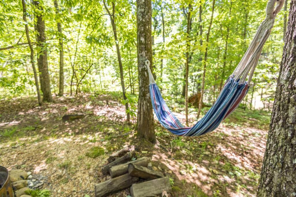 Pet Friendly Luxury Cabin Near Helen With Fire Pit Кливленд Экстерьер фото