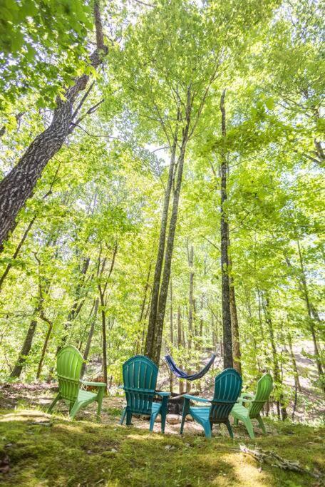 Pet Friendly Luxury Cabin Near Helen With Fire Pit Кливленд Экстерьер фото