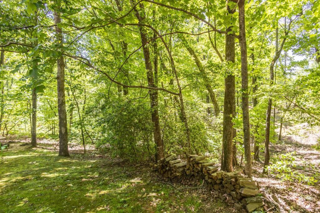 Pet Friendly Luxury Cabin Near Helen With Fire Pit Кливленд Экстерьер фото
