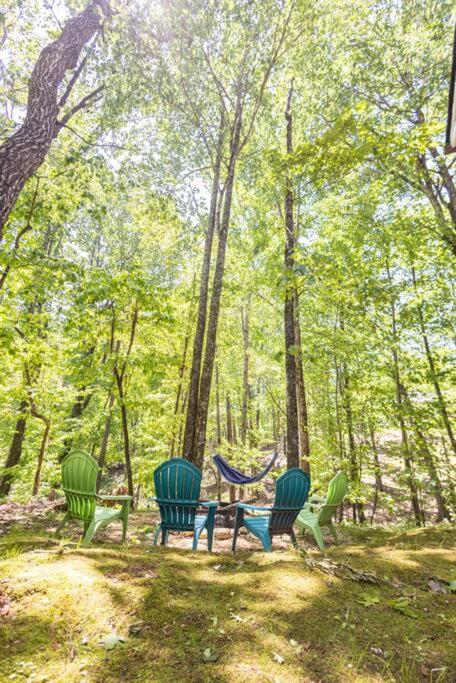 Pet Friendly Luxury Cabin Near Helen With Fire Pit Кливленд Экстерьер фото