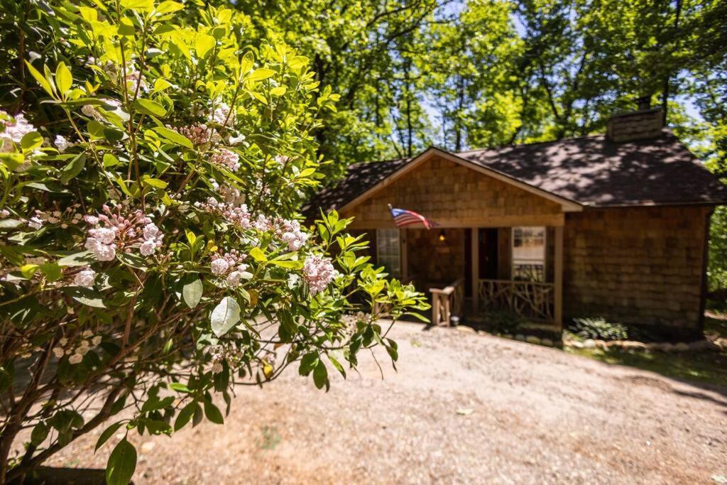 Pet Friendly Luxury Cabin Near Helen With Fire Pit Кливленд Экстерьер фото